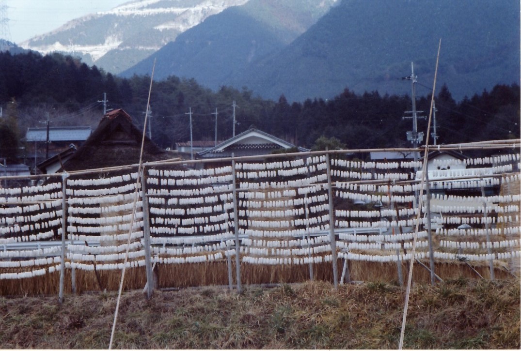 屋外に干されるつやの玉