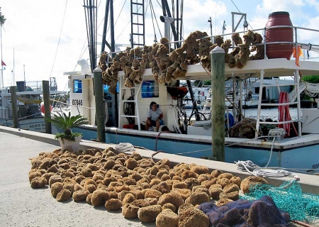 船から積み下ろされる海綿