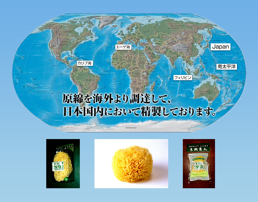 原綿を海外より調達して、日本国内において精製しております。